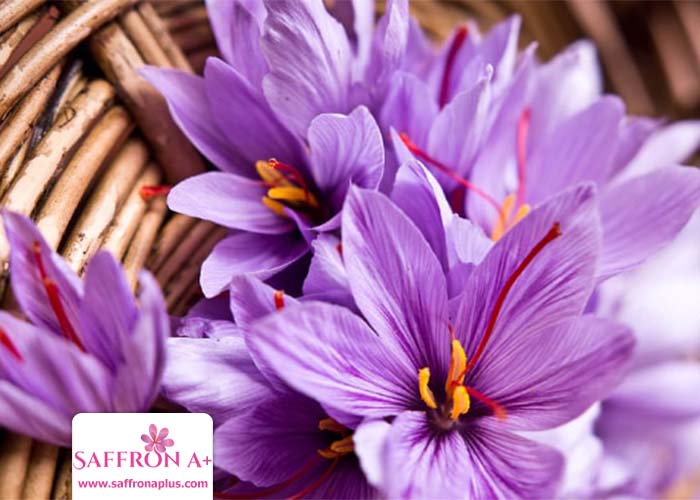 Buy saffron in Canberra Australia