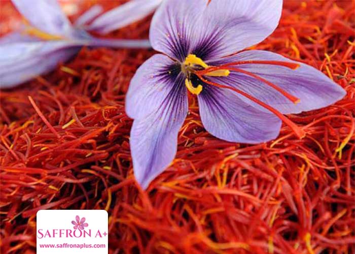 Buy saffron in Podgorica, Montenegro